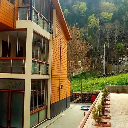 Talipoğlu Apart Apart otel Uzungöl Dış mekan fotoğraf