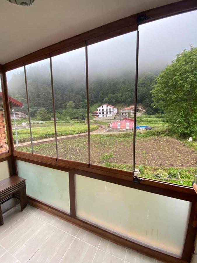 Talipoğlu Apart Apart otel Uzungöl Dış mekan fotoğraf