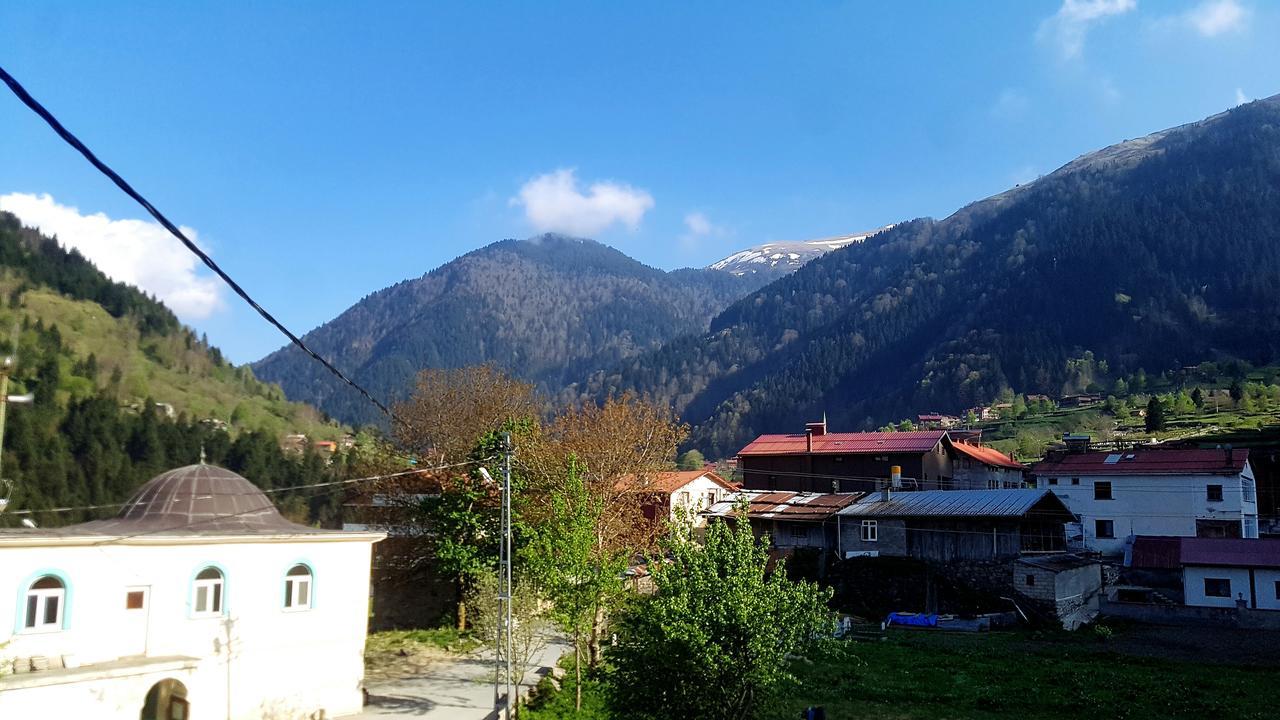 Talipoğlu Apart Apart otel Uzungöl Dış mekan fotoğraf