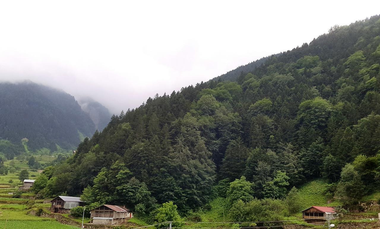 Talipoğlu Apart Apart otel Uzungöl Dış mekan fotoğraf