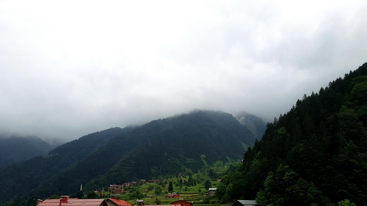 Talipoğlu Apart Apart otel Uzungöl Dış mekan fotoğraf